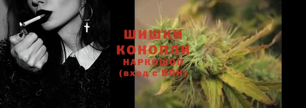 прущие грибы Белоозёрский