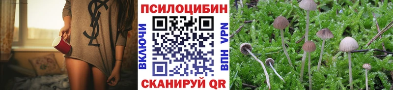 MEGA маркетплейс  купить  цена  Коммунар  Псилоцибиновые грибы GOLDEN TEACHER 